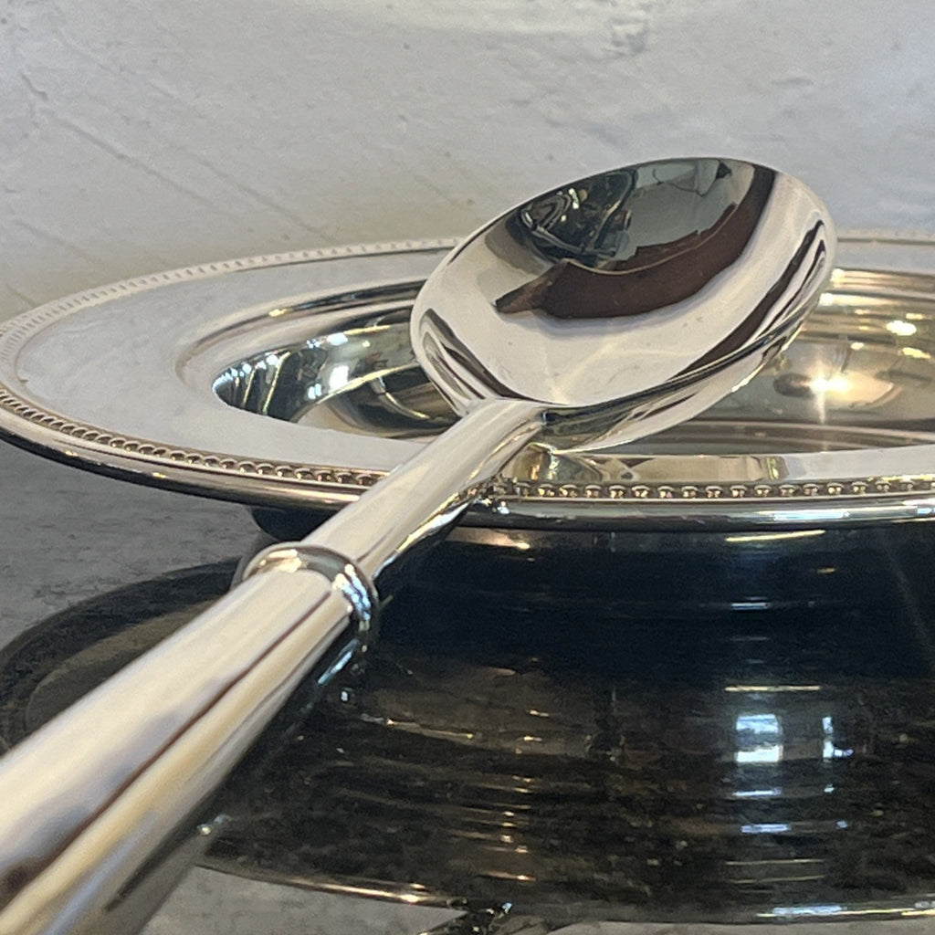 Silver Plated Serving Set With Two Plates Serving Spoon And Fork