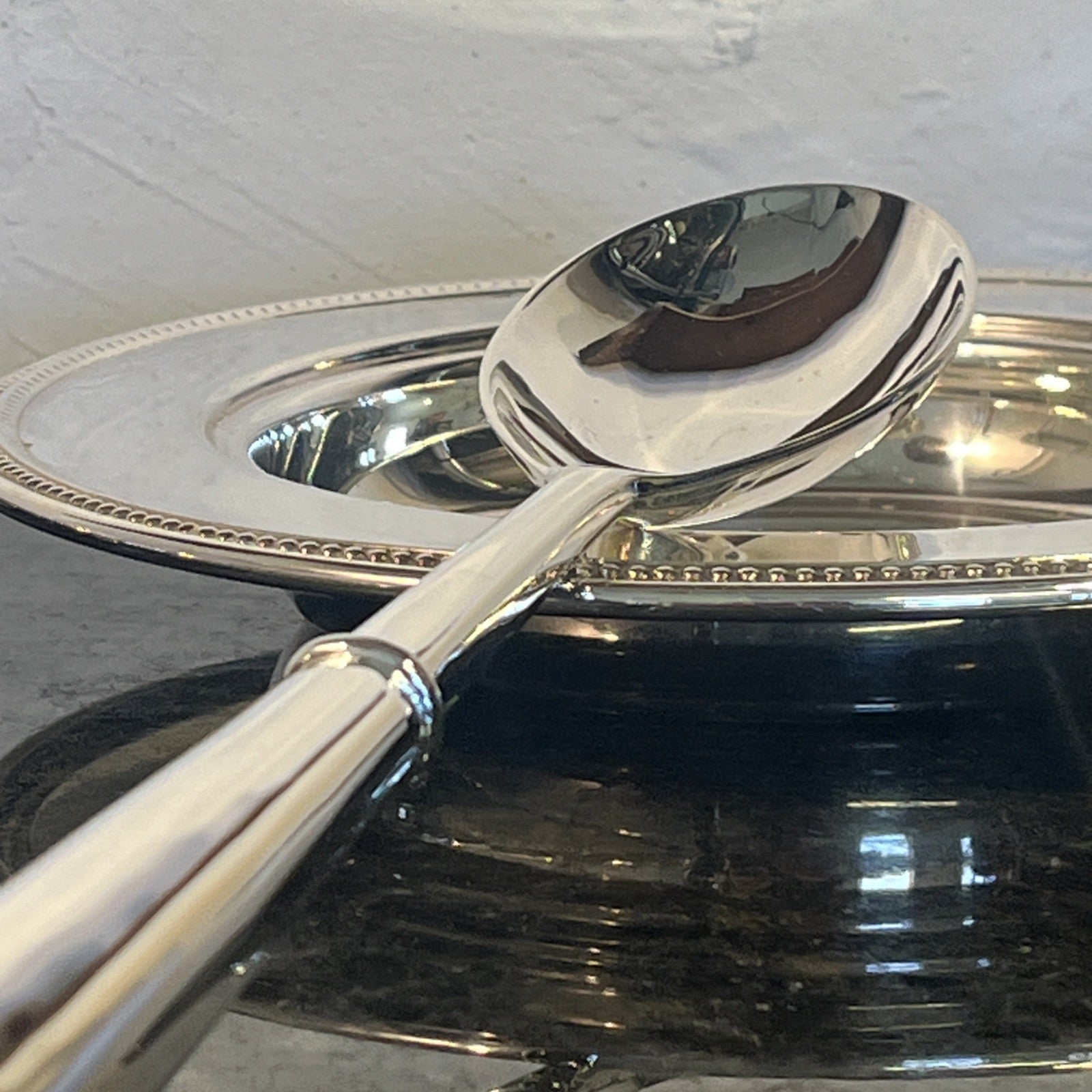 Silver Plated Serving Set With Two Plates Serving Spoon And Fork