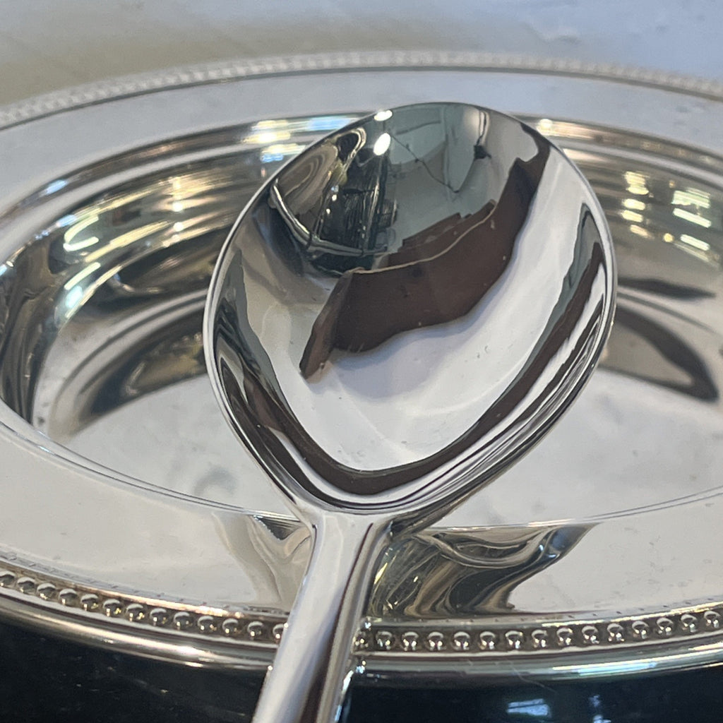 Silver Plated Serving Set With Two Plates Serving Spoon And Fork